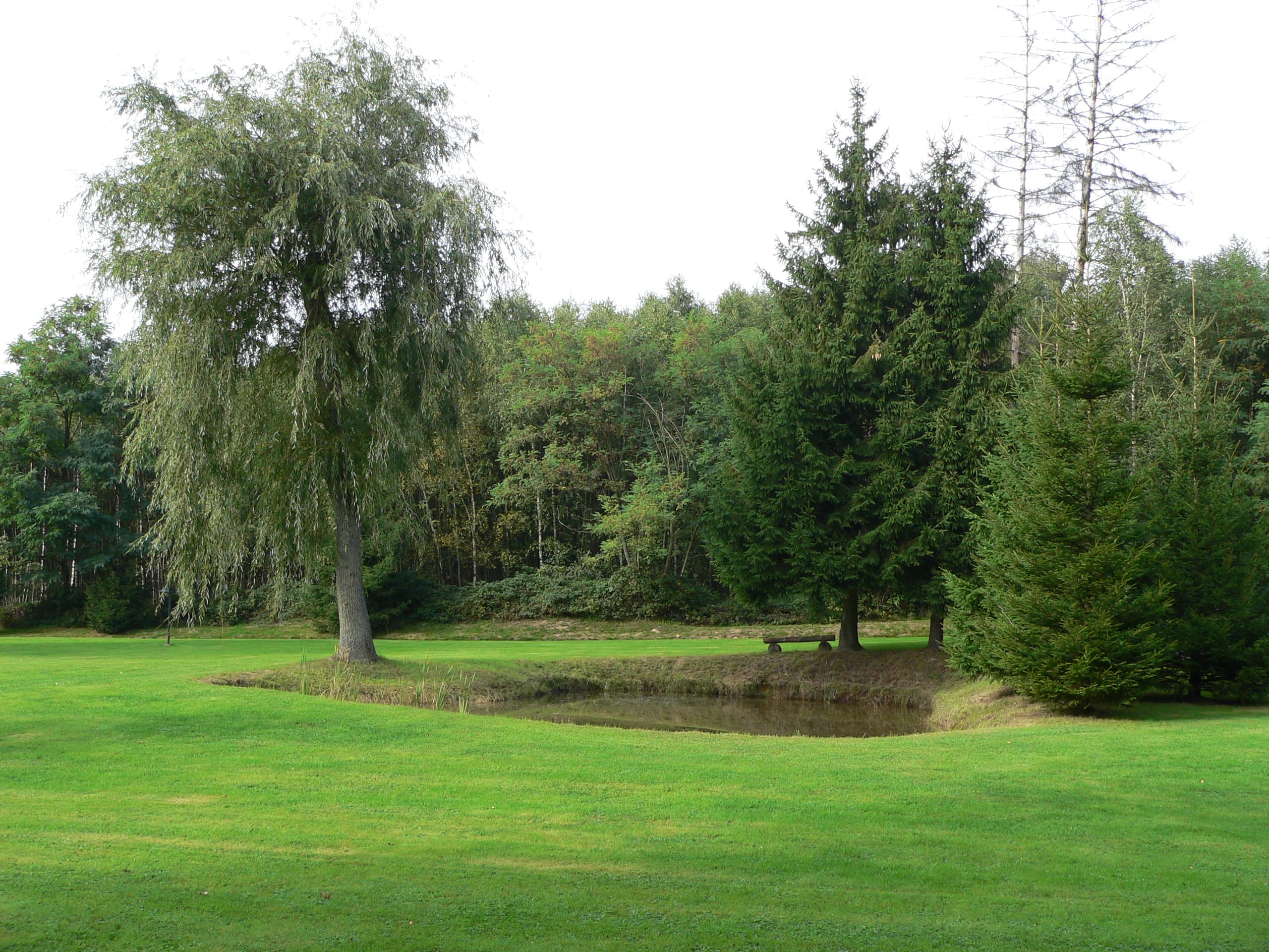 Idyllischer Weiher auf dem Gelände der Pension Rehwinkel in Nalbach, umgeben von grüner Wiese und hohen Bäumen.