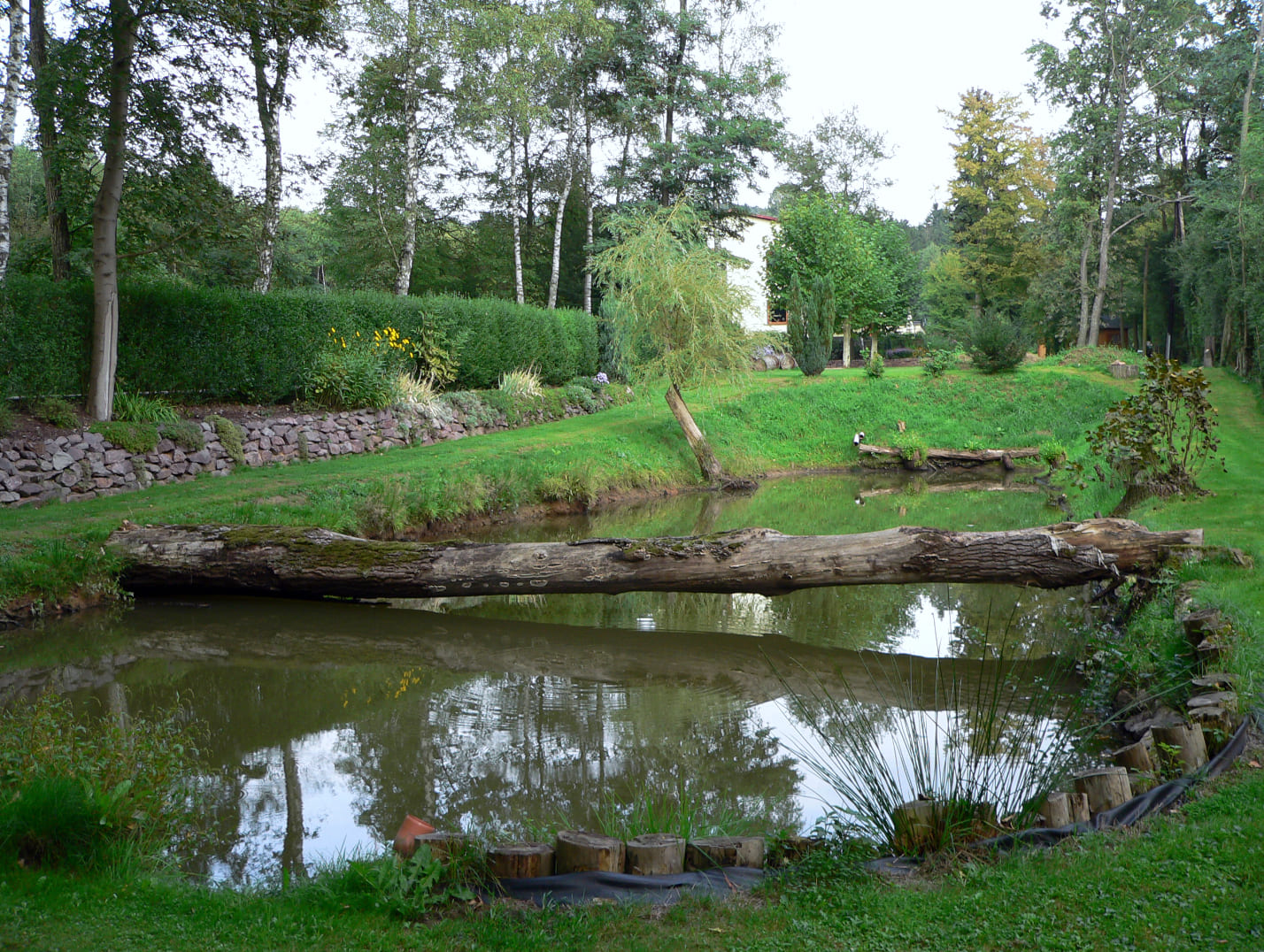 Außenanlage der Pension Rehwinkel in Nalbach, mit einem idyllischen Weiher, umgeben von grünen Wiesen, Bäumen und Natur, sowie einem Baumstamm als Brücke über das Wasser.